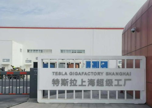 特斯拉价格再迎调整，产能瓶颈与上海技术布局交织前行